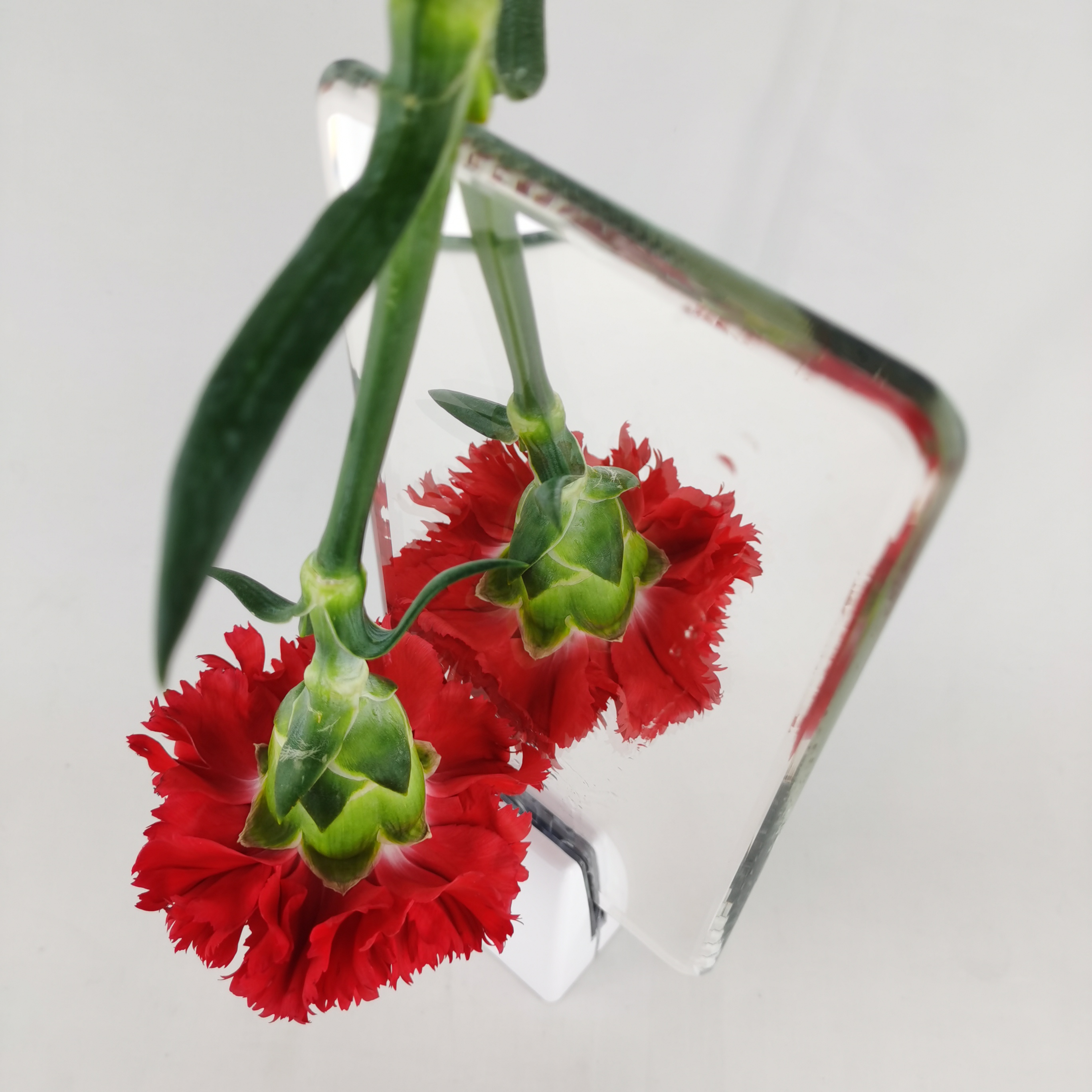 3mm 4mm 5mm 6mm 8mm 10mm 12mm 银镜玻璃