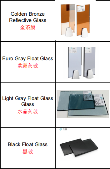 阿联酋客户来访TopoGlass 加强与中国玻璃制造商的合作 (4)