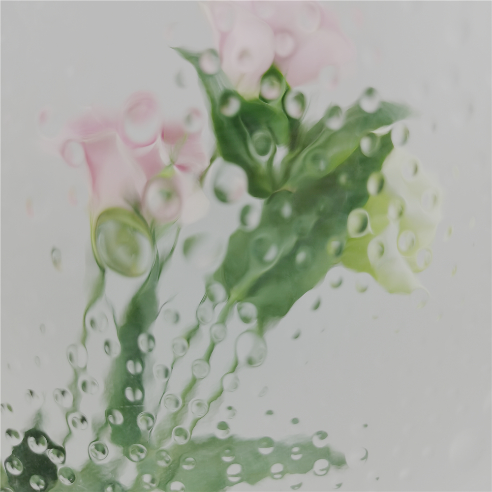 3mm 4mm 5mm 6mm 8mm 10mm 透明 Showerlite 花纹图案玻璃