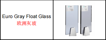 阿联酋客户来访TopoGlass 加强与中国玻璃制造商的合作 (1)