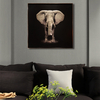 广州厂家直销简约现代装饰沙发背景墙3D大象动物玻璃琉璃彩艺术装饰画